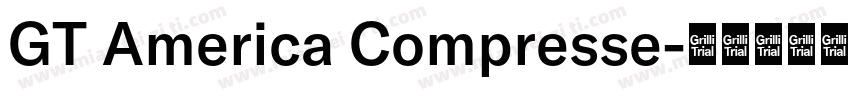 GT America Compresse字体转换